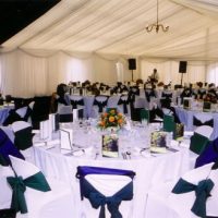 International Polo (Marquee Hospitality)